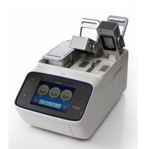 PCR